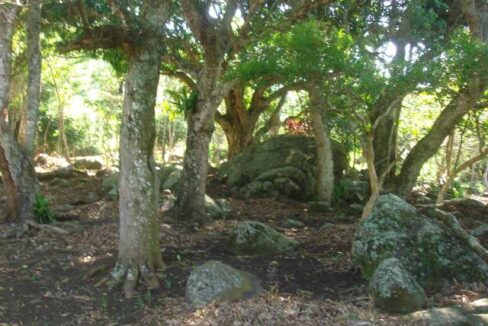 Lindo-terreno-a-venda-pé-na-areia-em-Ilhabela13