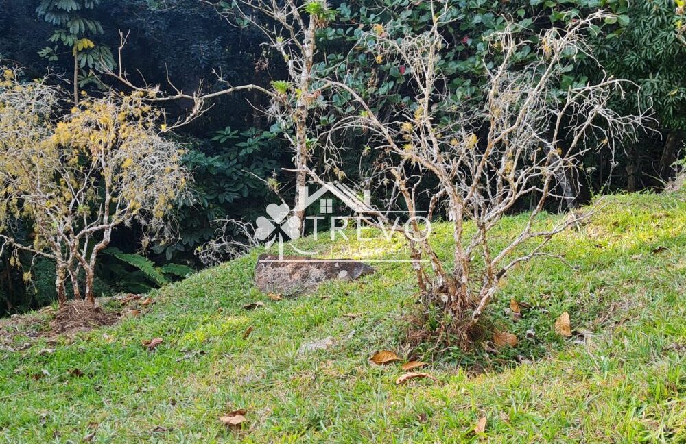 Casa-charmosa-Em-meio-a-natureza33