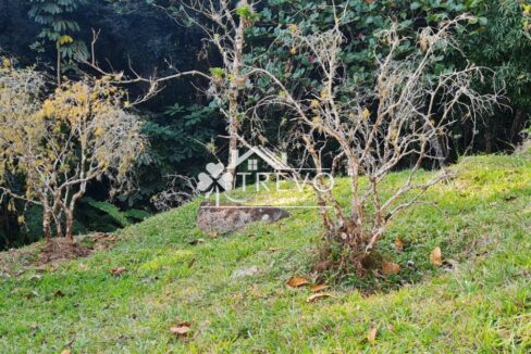 Casa-charmosa-Em-meio-a-natureza33