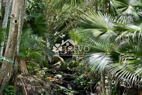 Casa-charmosa-Em-meio-a-natureza37