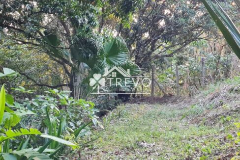 Casa-charmosa-Em-meio-a-natureza41