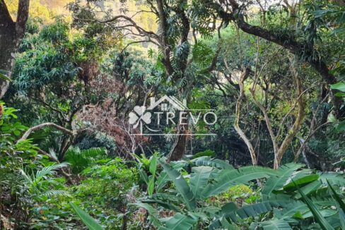 Casa-charmosa-Em-meio-a-natureza42