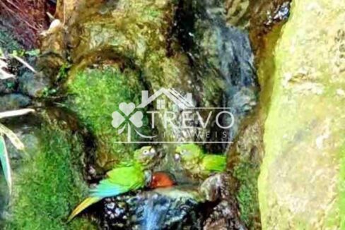 Casa-a-venda-em-Ilhabela-com-vista-panorâmica-para-o-mar32