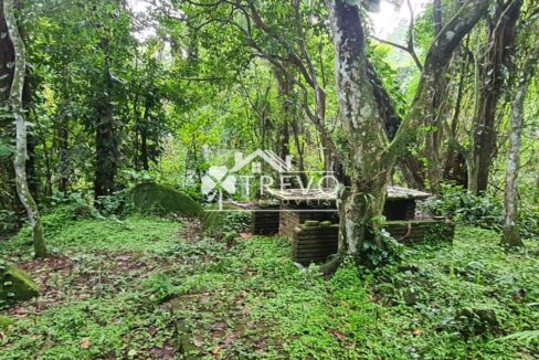 Linda-costeira-a-venda-em-Ilhabela10