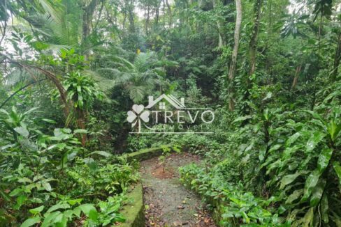 Linda-costeira-a-venda-em-Ilhabela11