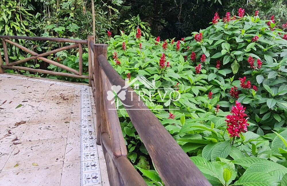 Linda-costeira-a-venda-em-Ilhabela26