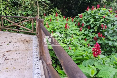 Linda-costeira-a-venda-em-Ilhabela26