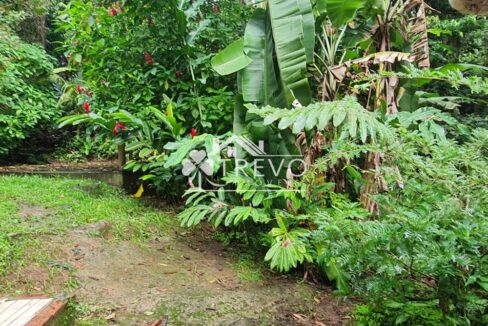 Linda-costeira-a-venda-em-Ilhabela39