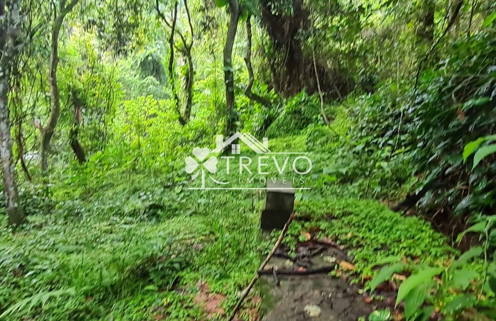 Linda-costeira-a-venda-em-Ilhabela8
