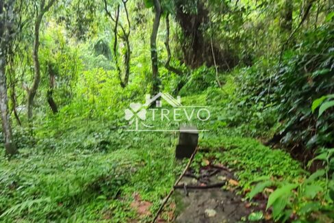 Linda-costeira-a-venda-em-Ilhabela8