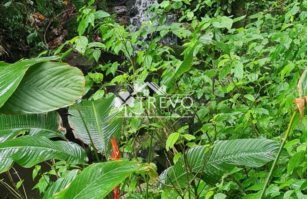 Linda-costeira-a-venda-em-Ilhabela9