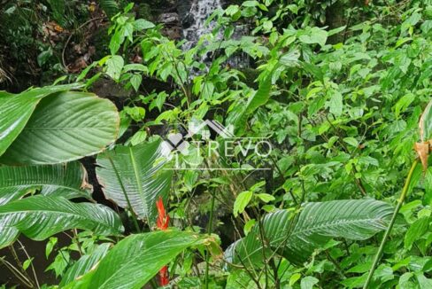 Linda-costeira-a-venda-em-Ilhabela9